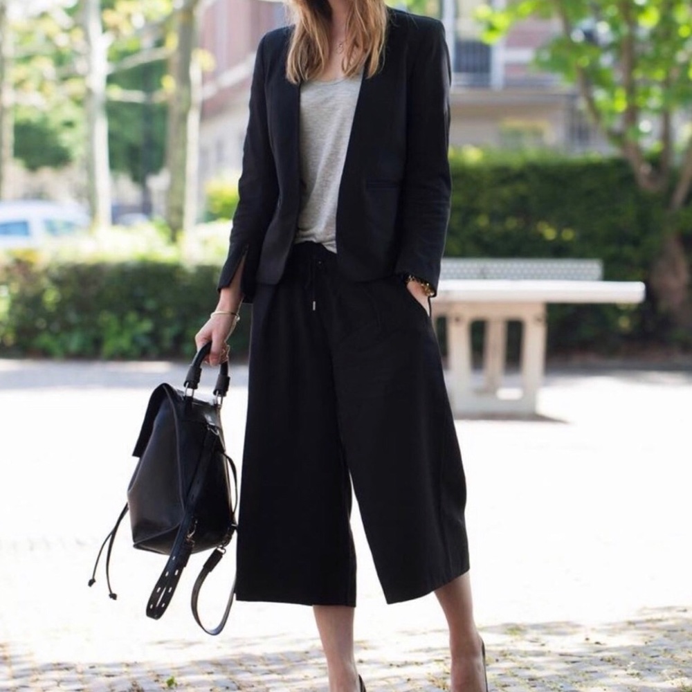 Aritzia Babaton Lazarus NAVY culottes size 2